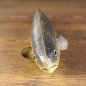 Preview: LARP PU-foam perch/fish "Batschen-Barsch"