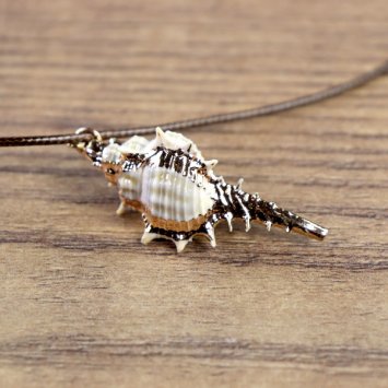 "Muschelkette", Stachelschnecken Gehäuse mit goldener Farbe