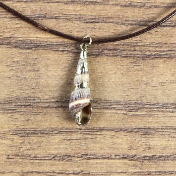 "Muschelkette", Turmschnecken Gehäuse mit goldener Farbe