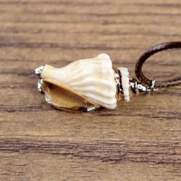 "Muschelkette", Veränderliche Flügelschnecken Gehäuse mit goldener Farbe