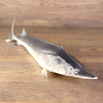 Larp PU geschäumter Stör / Fisch