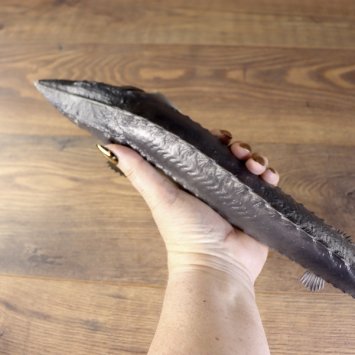 Larp PU geschäumter Stör / Fisch