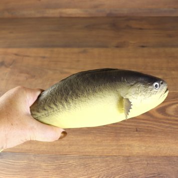 LARP PU-foam perch/fish "Batschen-Barsch"