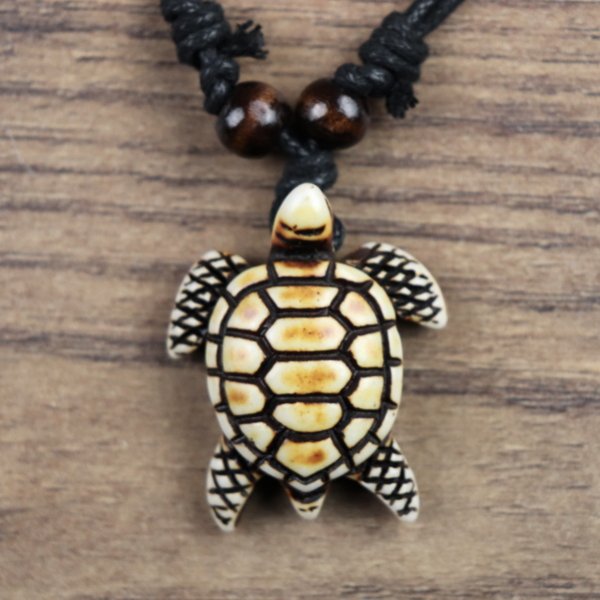 Schildkroete Tortuga, Braun