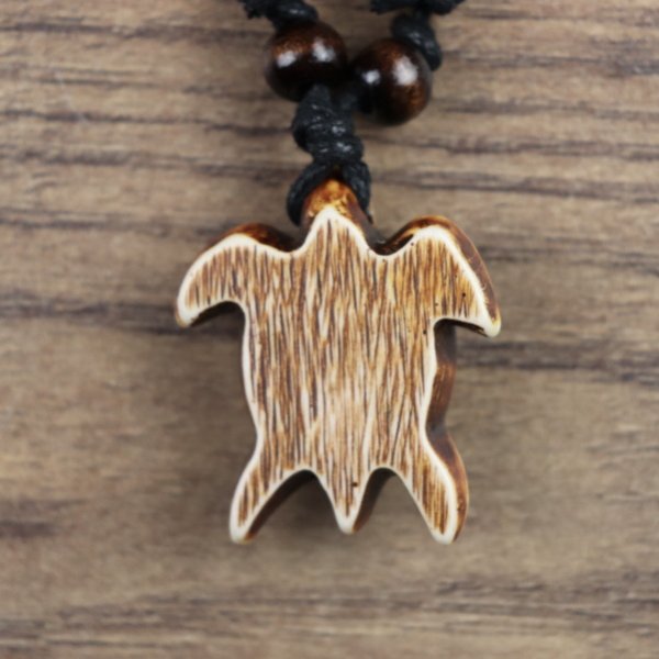 Schildkroete Tortuga, Braun