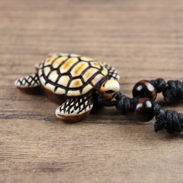 Schildkroete Tortuga, Braun