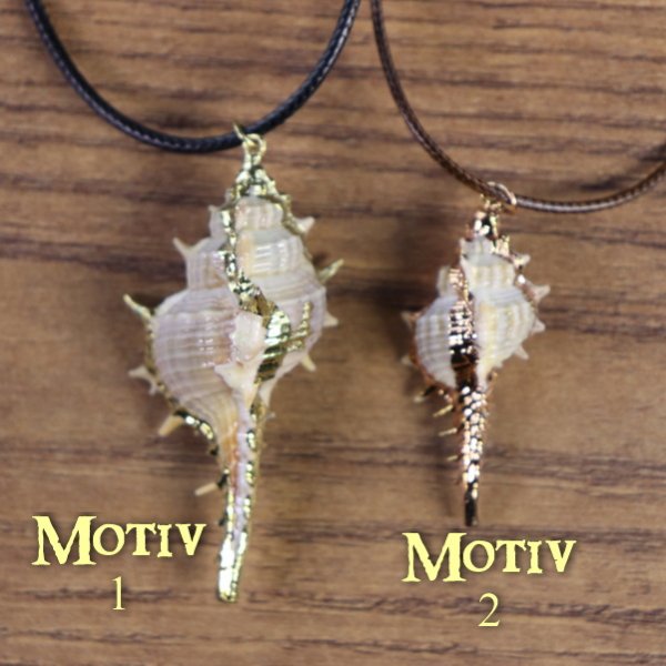 "Muschelkette", Stachelschnecken Gehäuse mit goldener Farbe