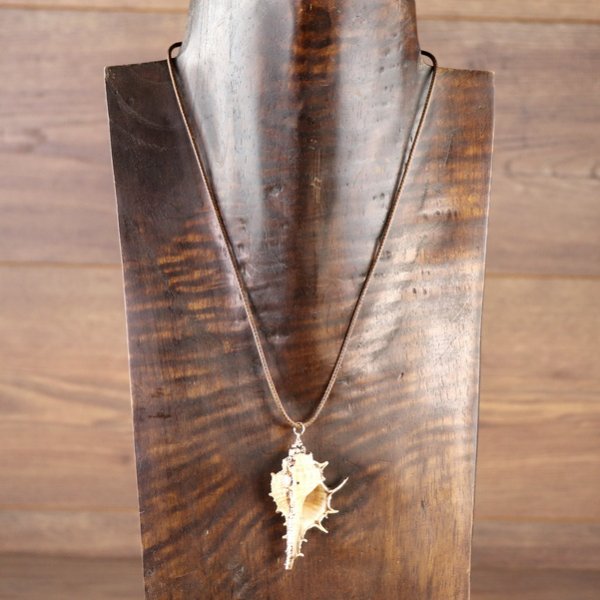 "Muschelkette", Stachelschnecken Gehäuse mit goldener Farbe