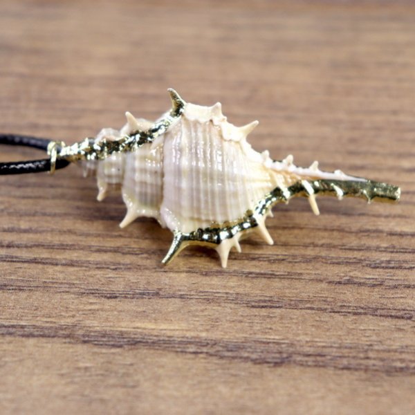 "Muschelkette", Stachelschnecken Gehäuse mit goldener Farbe