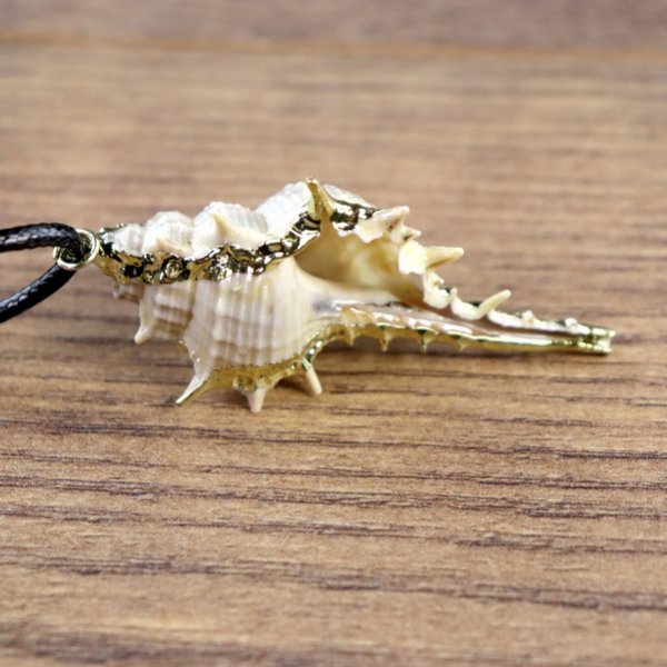 "Muschelkette", Stachelschnecken Gehäuse mit goldener Farbe