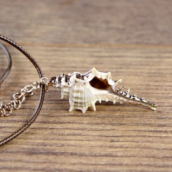 "Muschelkette", Stachelschnecken Gehäuse mit goldener Farbe