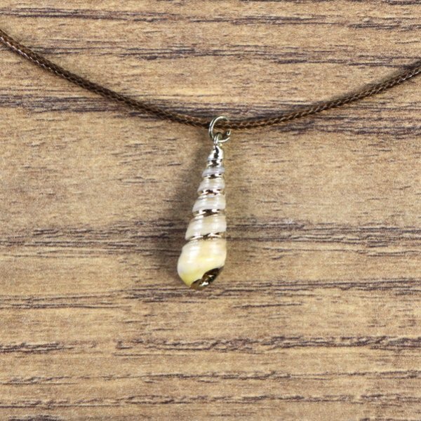 "Muschelkette", Turmschnecken Gehäuse mit goldener Farbe