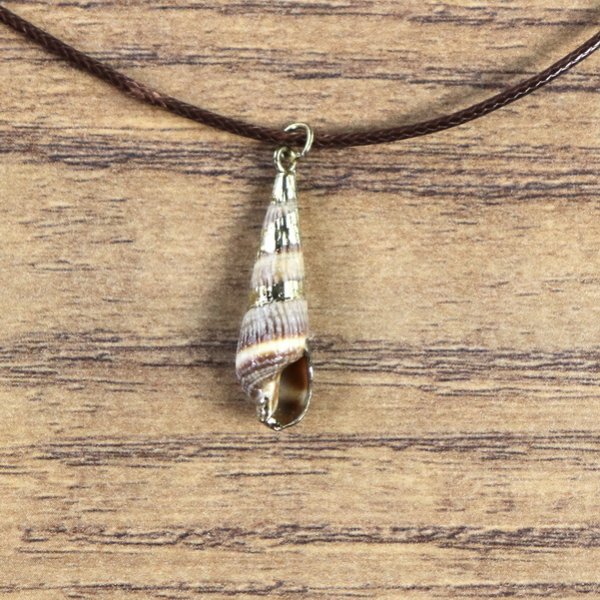 "Muschelkette", Turmschnecken Gehäuse mit goldener Farbe