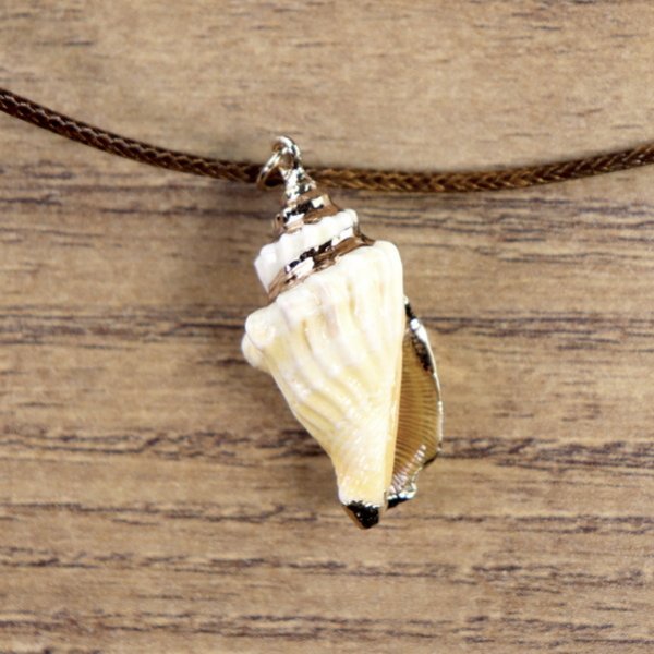 "Muschelkette", Veränderliche Flügelschnecken Gehäuse mit goldener Farbe