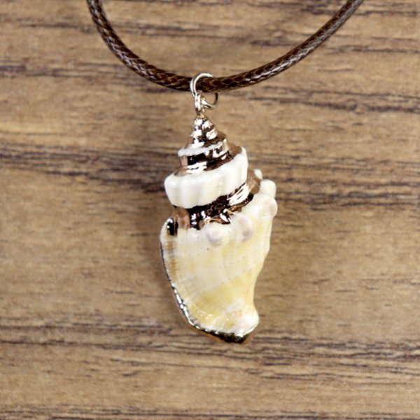 "Muschelkette", Veränderliche Flügelschnecken Gehäuse mit goldener Farbe