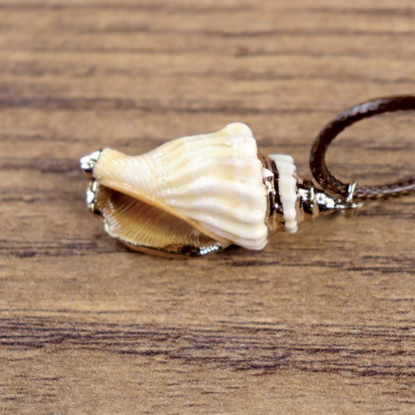 "Muschelkette", Veränderliche Flügelschnecken Gehäuse mit goldener Farbe