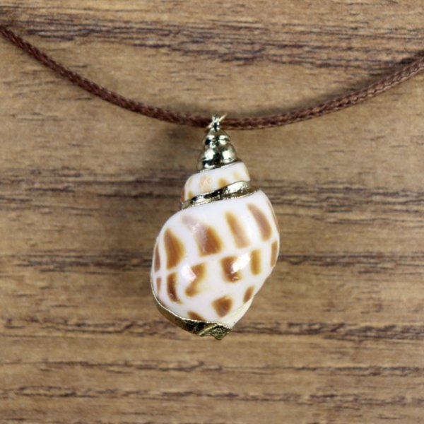 "Muschelkette", Wellhornschnecken Gehäuse mit goldener Farbe