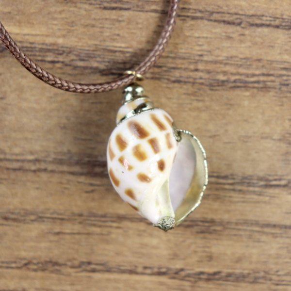 "Muschelkette", Wellhornschnecken Gehäuse mit goldener Farbe