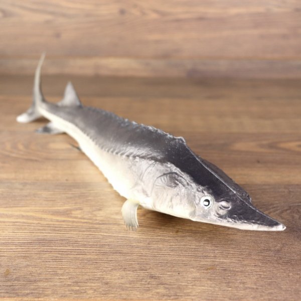 Larp PU geschäumter Stör / Fisch