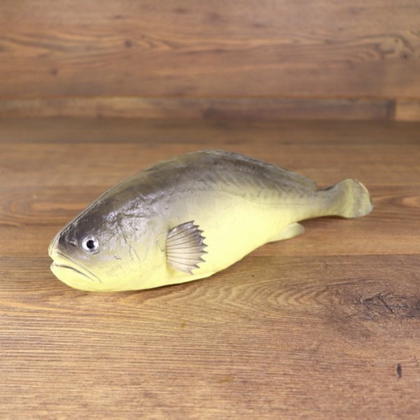 LARP PU-foam perch/fish "Batschen-Barsch"