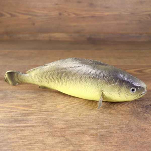 LARP PU-foam perch/fish "Batschen-Barsch"