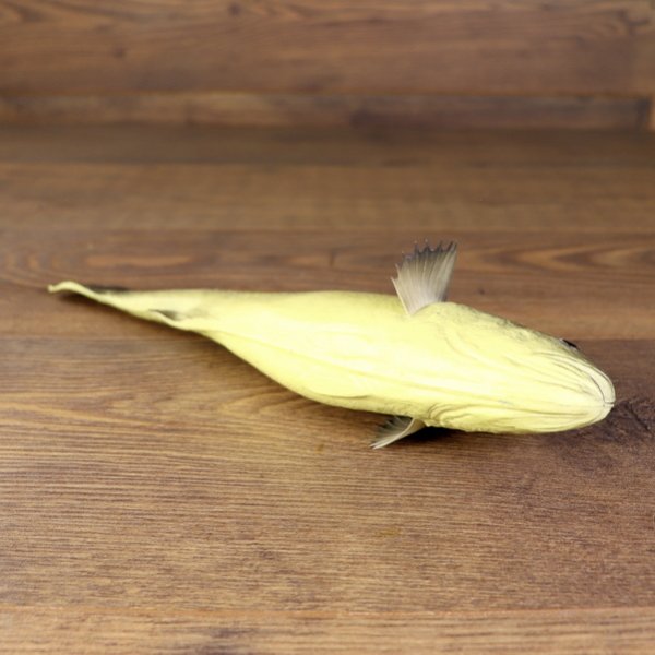 LARP PU-foam perch/fish "Batschen-Barsch"