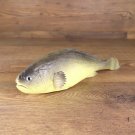 LARP PU-foam perch/fish 